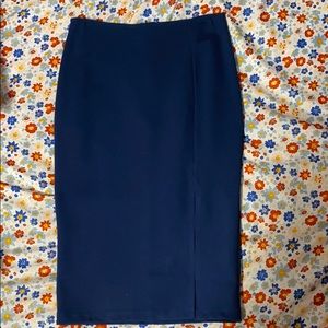 Blue Bodycon Skirt